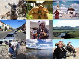 klicke hier, um die Datei herunterzuladen Mongolie gary