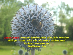 klicke hier, um die Datei herunterzuladen A271 Jesus sagt