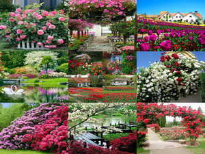 klicke hier, um die Datei herunterzuladen Beautiful-Garden