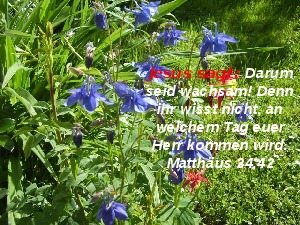 klicke hier, um die Datei herunterzuladen A272 Jesus sagt