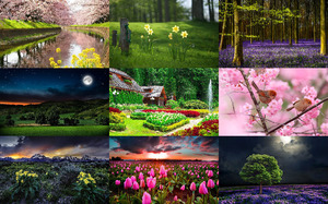 klicke hier, um die Datei herunterzuladen Farben der Natur
