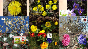 klicke hier, um die Datei herunterzuladen Blumen Ostern
