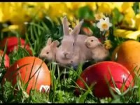 VID-20160324-WA0005