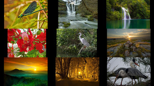 klicke hier, um die Datei herunterzuladen Beautiful Nature 117