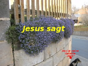 A278 Jesus sagt