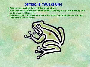 Optische Tuschung