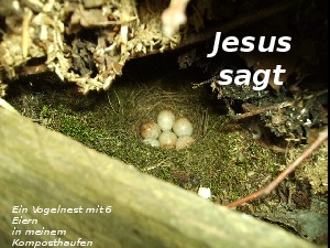 klicke hier, um die Datei herunterzuladen A279 Jesus sagt
