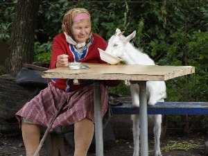 Freundschaft zwischen Mensch und Tier