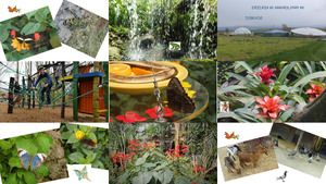 klicke hier, um die Datei herunterzuladen PAPILIORAMA