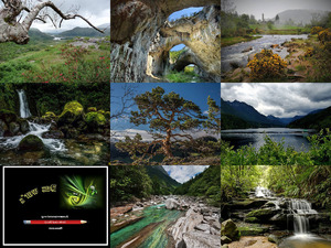 klicke hier, um die Datei herunterzuladen Natur pur - Nr.63