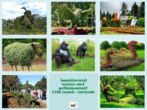 International Garden Show