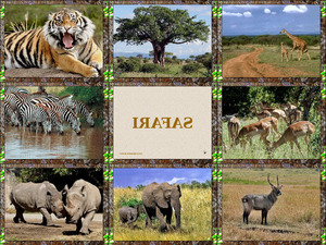 klicke hier, um die Datei herunterzuladen Safari