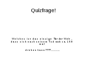 Quizfrage