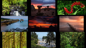 klicke hier, um die Datei herunterzuladen Beautiful Nature