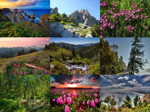 klicke hier, um die Datei herunterzuladen Natur pur