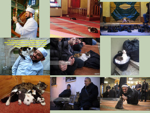 Moschee fuer Katzen.E.