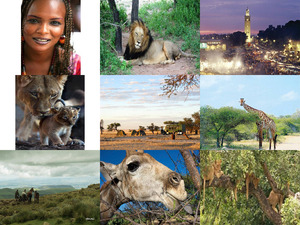 klicke hier, um die Datei herunterzuladen Afrika 8