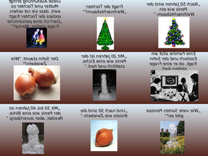 Zwiebeln und Weihnachtsbaum