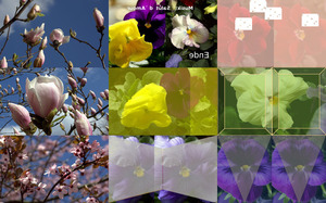 klicke hier, um die Datei herunterzuladen Frühlingsblumen