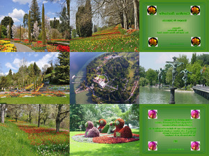 klicke hier, um die Datei herunterzuladen ile-de-mainau-en-allemagne-marinette