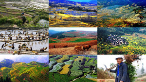 klicke hier, um die Datei herunterzuladen China Hani.Terrassenfelder in Yuanyang