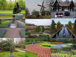 Keukenhof 1