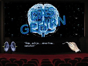 Das Gehirn