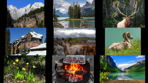 klicke hier, um die Datei herunterzuladen Alberta 3