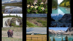 klicke hier, um die Datei herunterzuladen Alberta 1