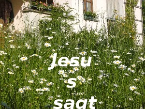klicke hier, um die Datei herunterzuladen A289 Jesus sagt