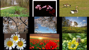 klicke hier, um die Datei herunterzuladen Frühling