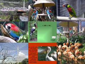 klicke hier, um die Datei herunterzuladen Singapore - Jurong park