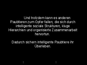 klicke hier, um die Datei herunterzuladen Krokodil Todeskampf