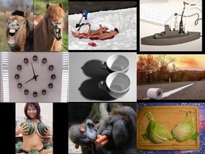 klicke hier, um die Datei herunterzuladen All kinds of nonsense