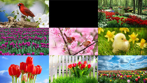 klicke hier, um die Datei herunterzuladen Colors of Spring - Farben des Frühlings