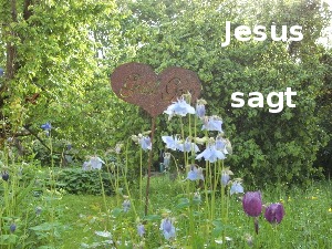 A293 Jesus sagt