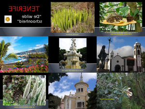 klicke hier, um die Datei herunterzuladen Teneriffa