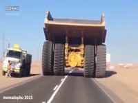 The Biggest Trucks In The World