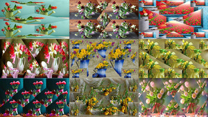 klicke hier, um die Datei herunterzuladen Tulpen