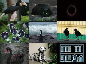 klicke hier, um die Datei herunterzuladen Black is beautiful