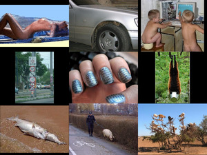 klicke hier, um die Datei herunterzuladen crazy weird pics