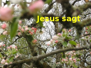 klicke hier, um die Datei herunterzuladen A295 Jesus sagt