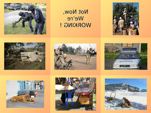 klicke hier, um die Datei herunterzuladen Not now we are Working