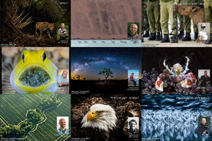 klicke hier, um die Datei herunterzuladen BigPicture 2015