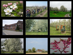 klicke hier, um die Datei herunterzuladen BLOESEMS XXX