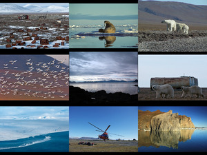 Wrangell Island Arctic Ocean