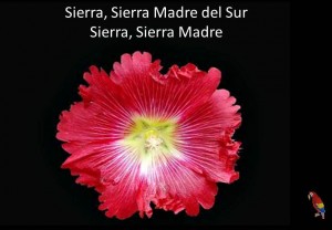Sierra Madre mit Text
