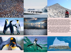 klicke hier, um die Datei herunterzuladen Pinguine