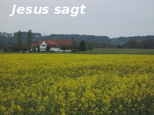 A299 Jesus sagt