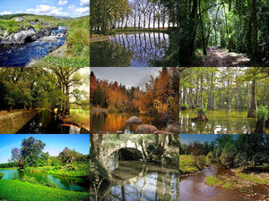 klicke hier, um die Datei herunterzuladen Natur pur - Nr 78